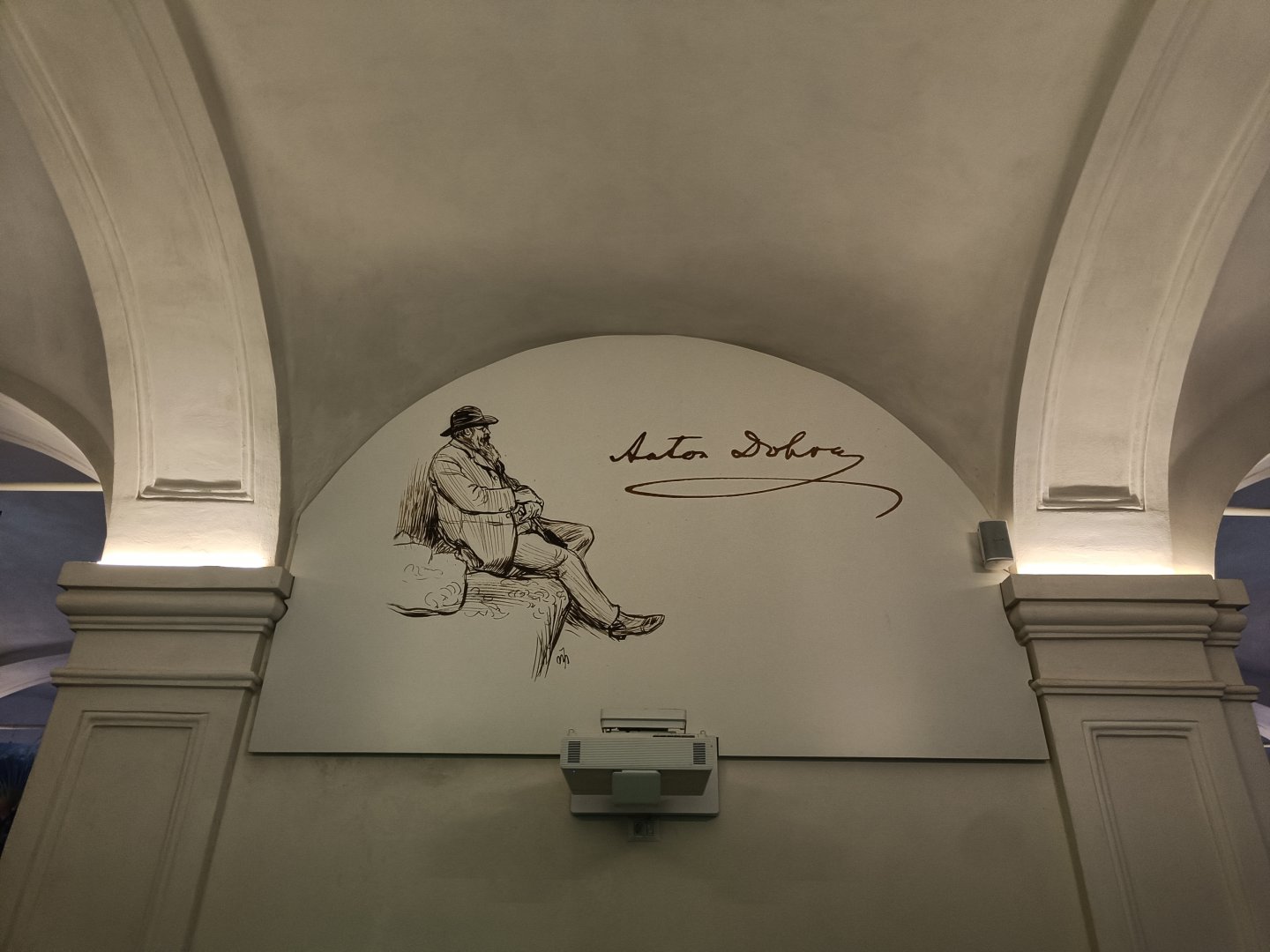 Acquario di Napoli - Anton Dohrm illustration