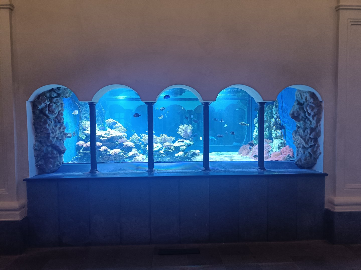 Acquario di Napoli - central coral tank