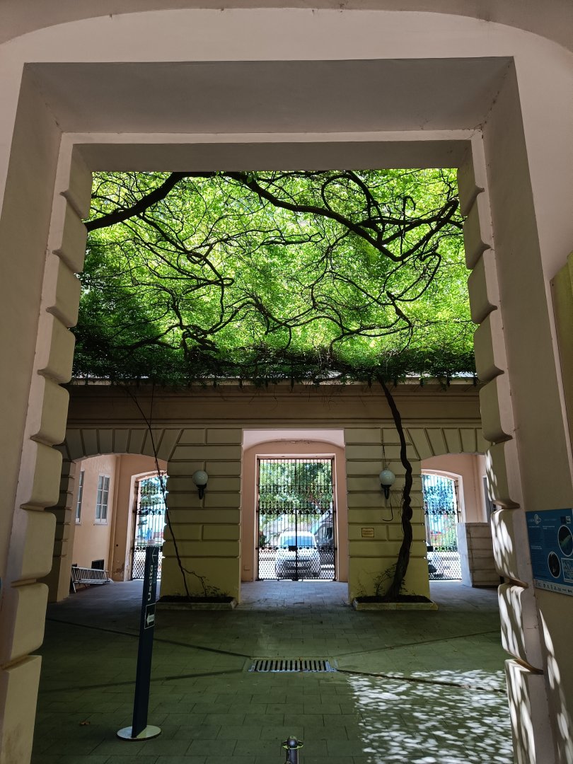 Acquario di Napoli - first view upon entering Stazione Zoologica