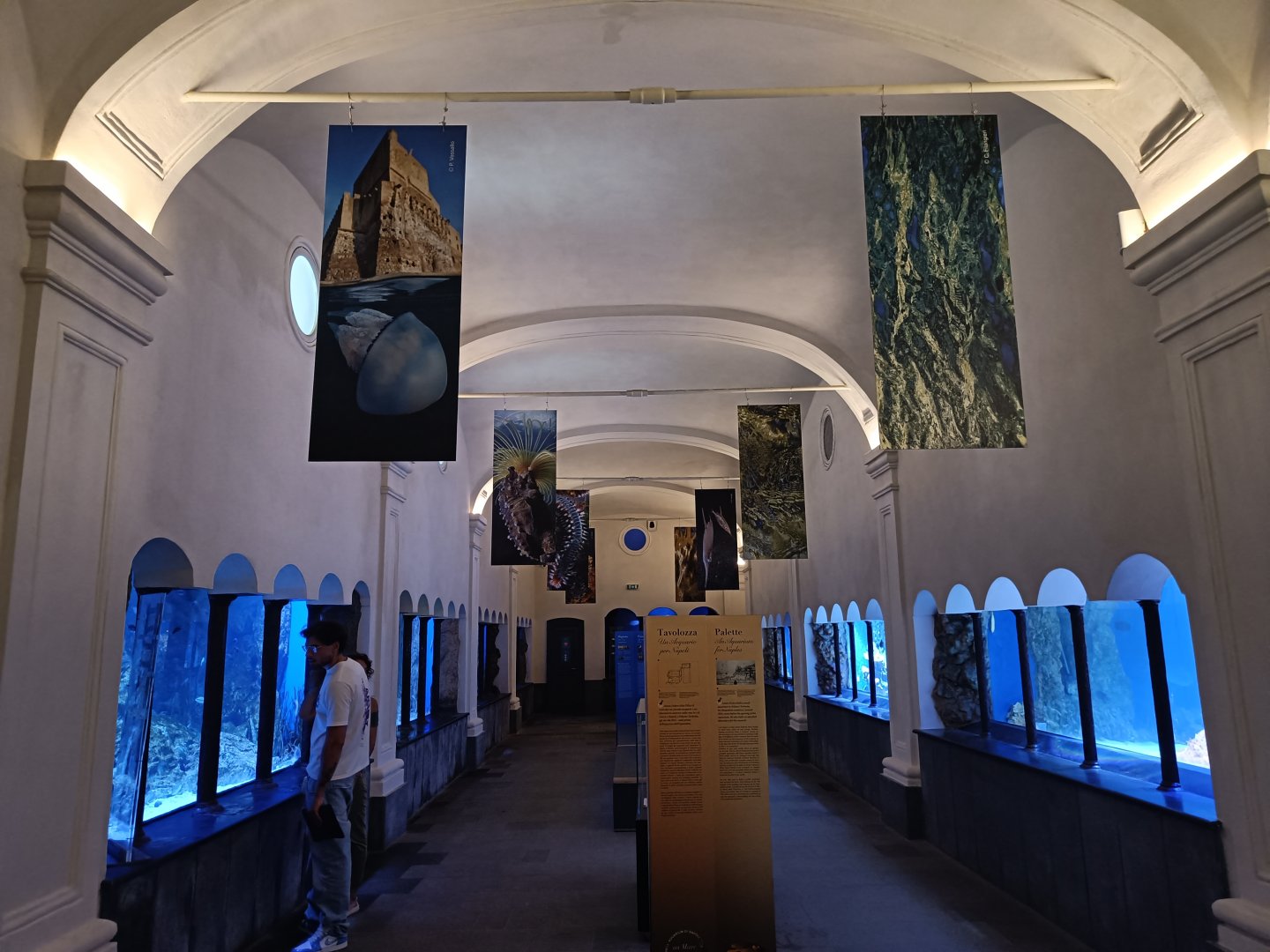 Acquario di Napoli - overview