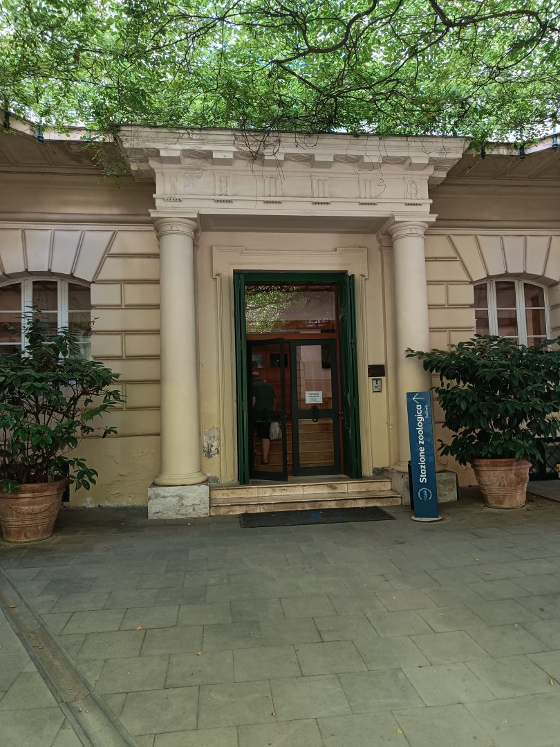 Acquario di Napoli - research facilities entrance