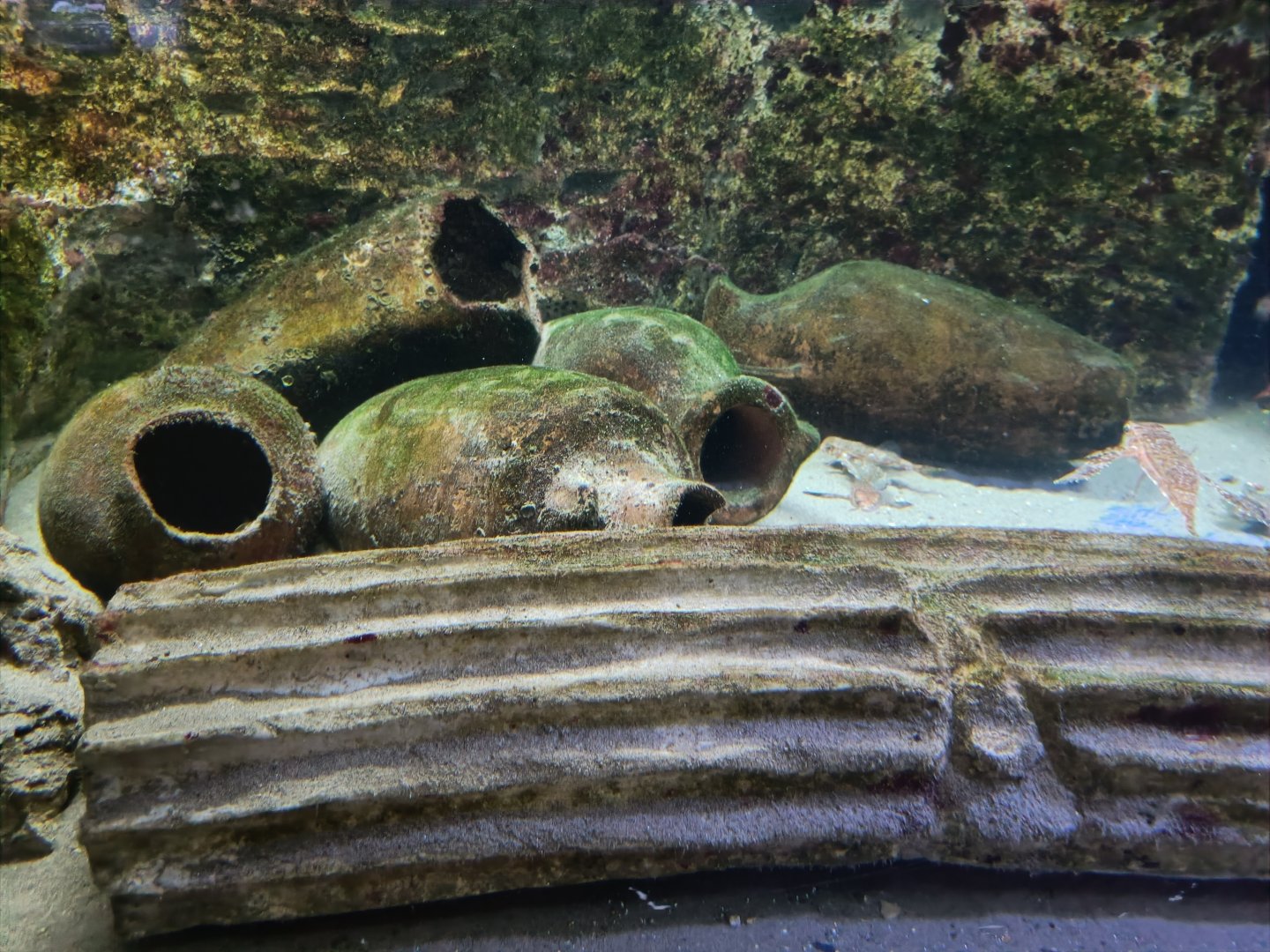 Acquario di Napoli - Roman amphorae