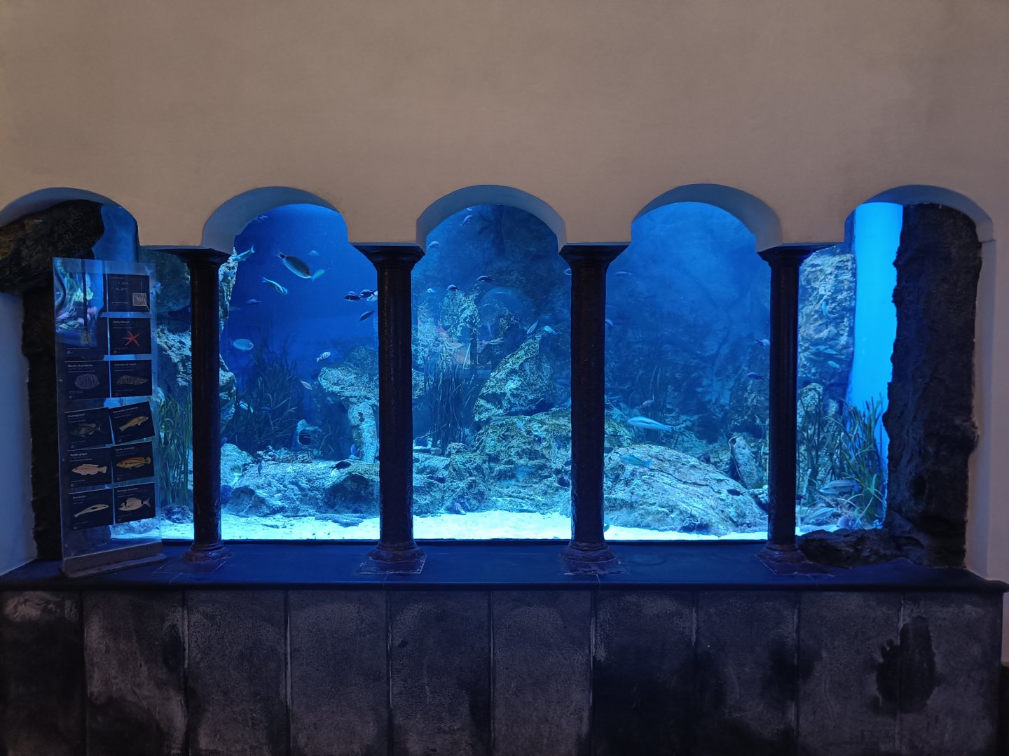 Acquario di Napoli - second tank