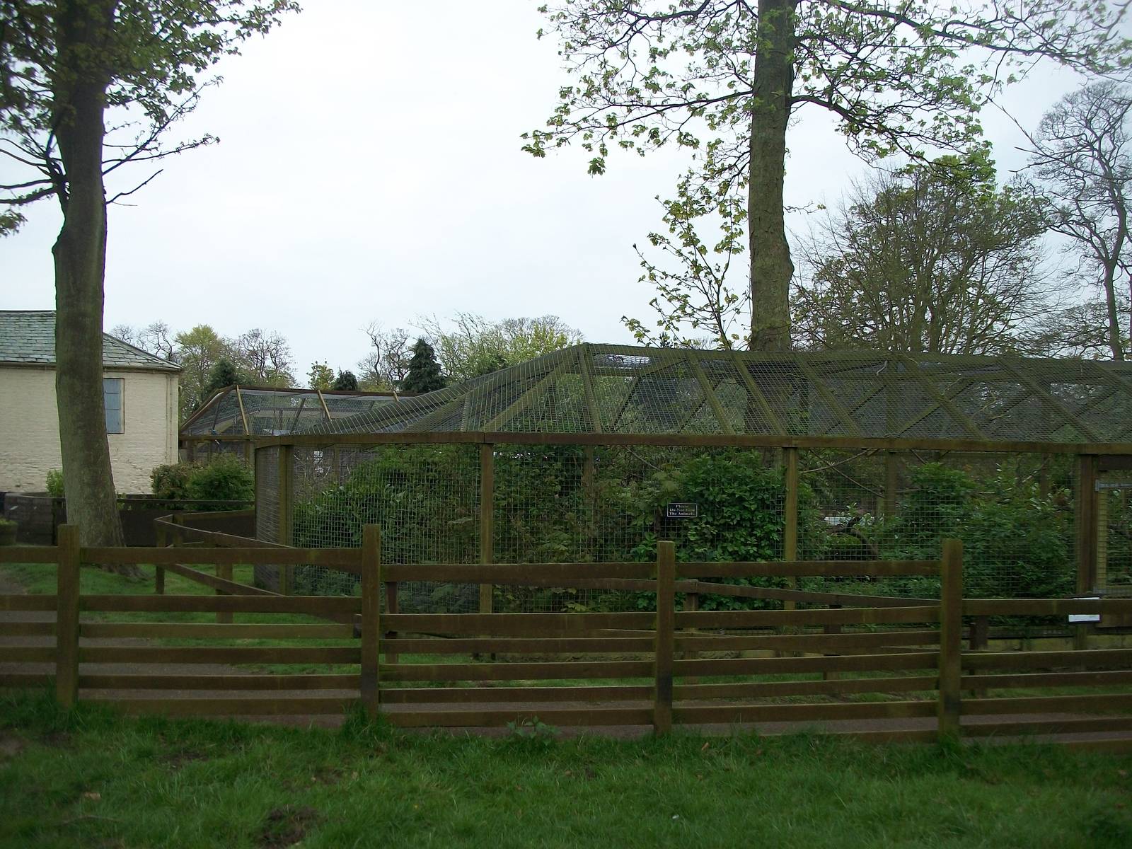 Across the pig paddock to the capuchins, 4th May 2014