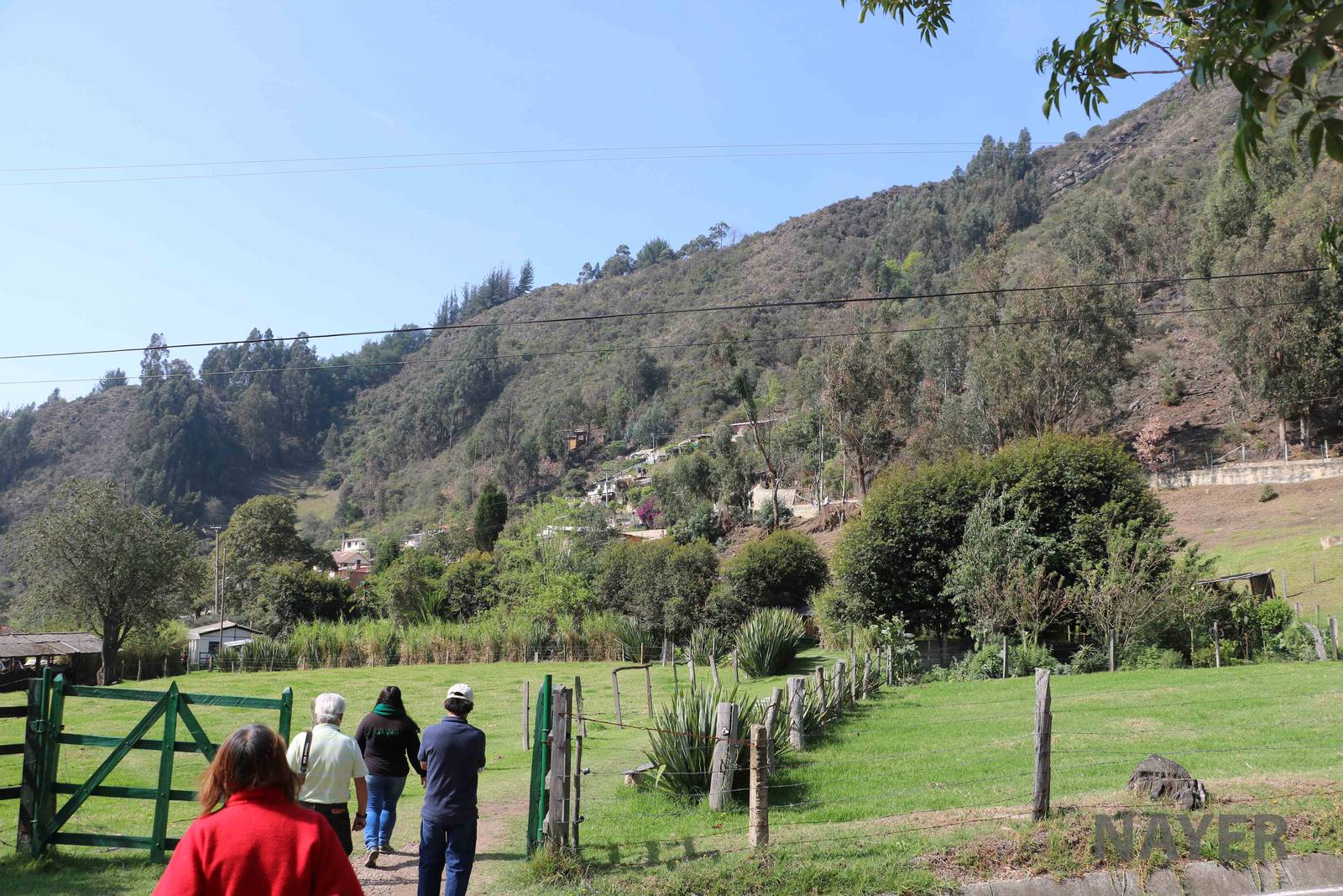 Across the road - Bioparque la Reserva, March 2016