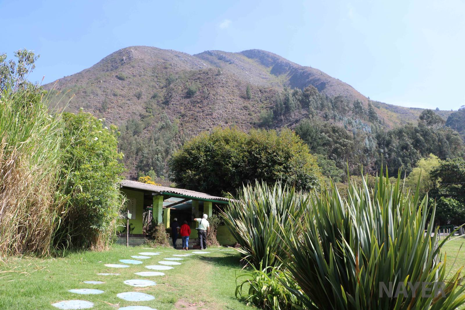 Across the valley - Bioparque la Reserva, March 2016