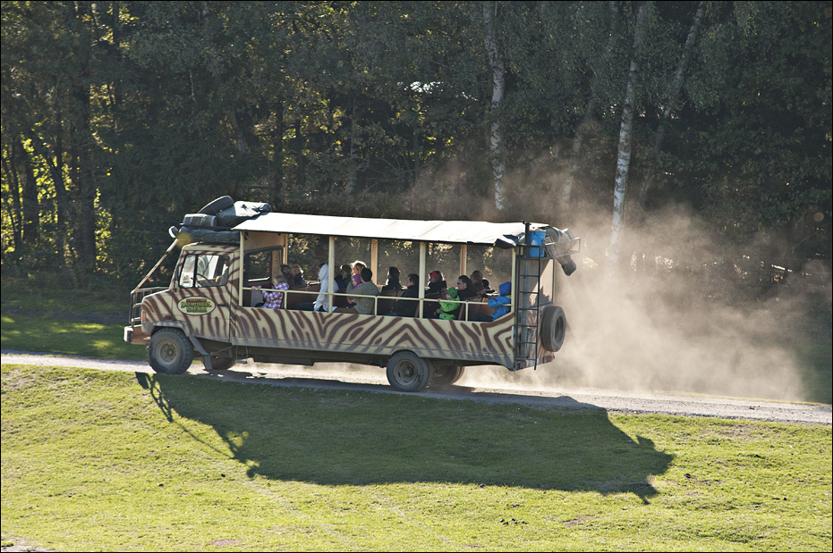 Action-safari at Serengeti Park