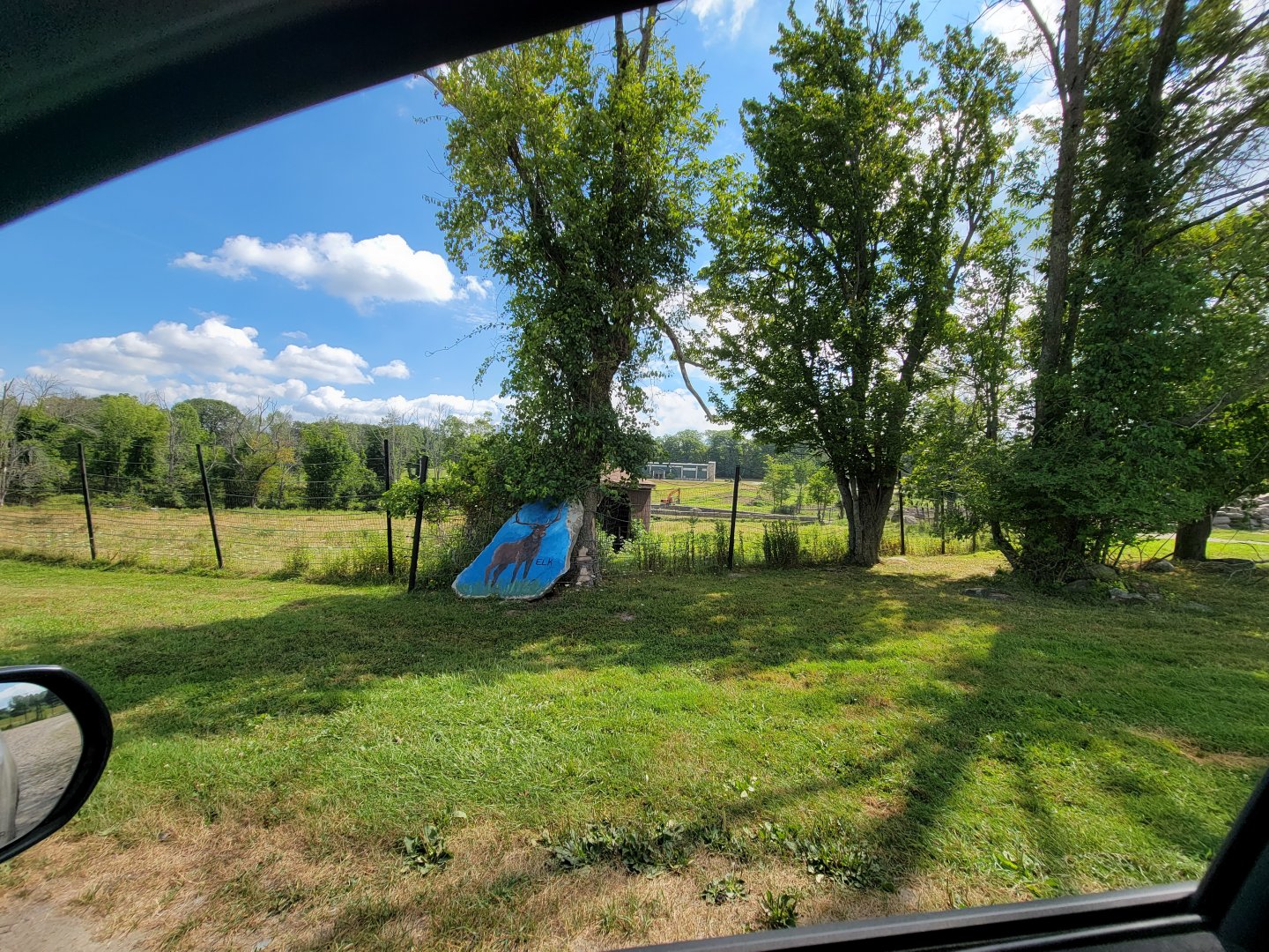 Action Wildlife - Elk yard