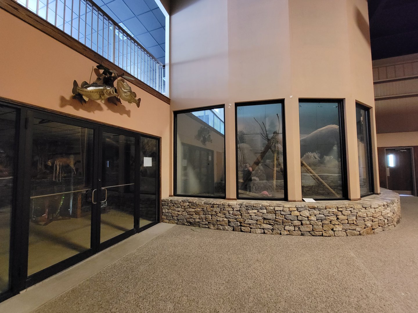 Action Wildlife - Empty exhibit inside building