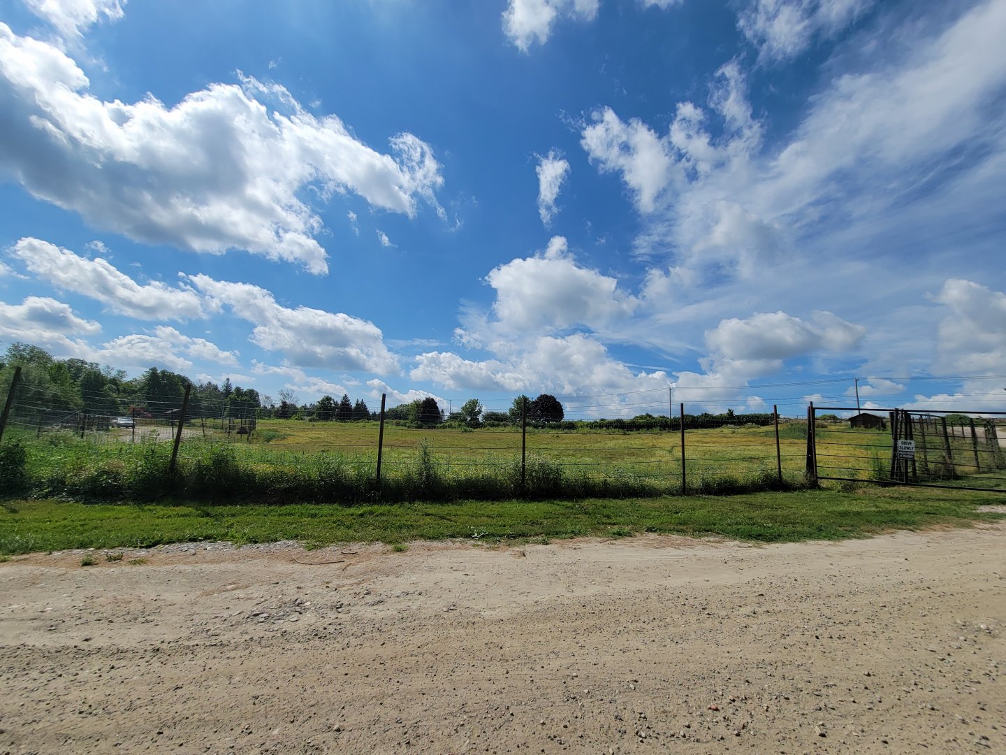 Action Wildlife - Empty yard