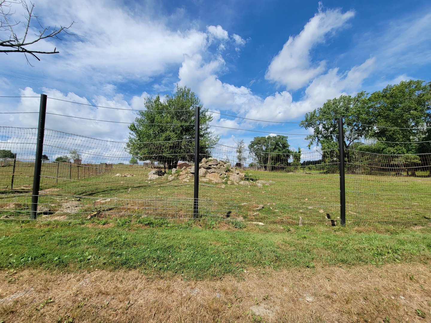 Action Wildlife - Empty yard