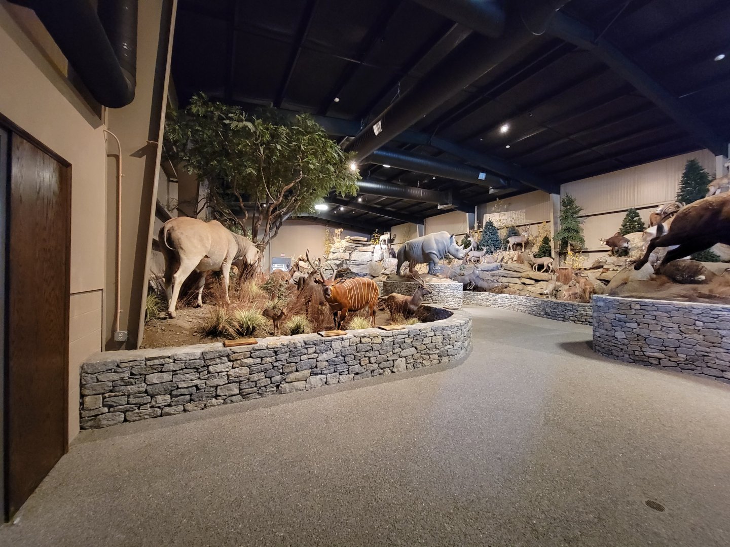 Action Wildlife - Inside entrance of building