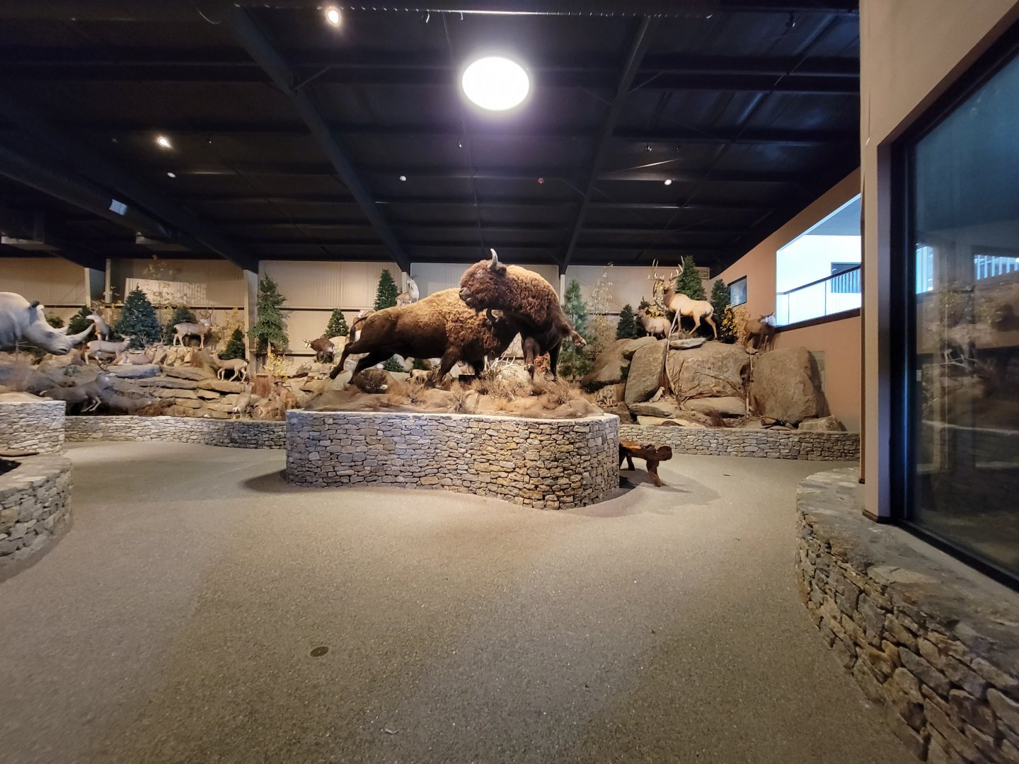 Action Wildlife - Inside entrance of building