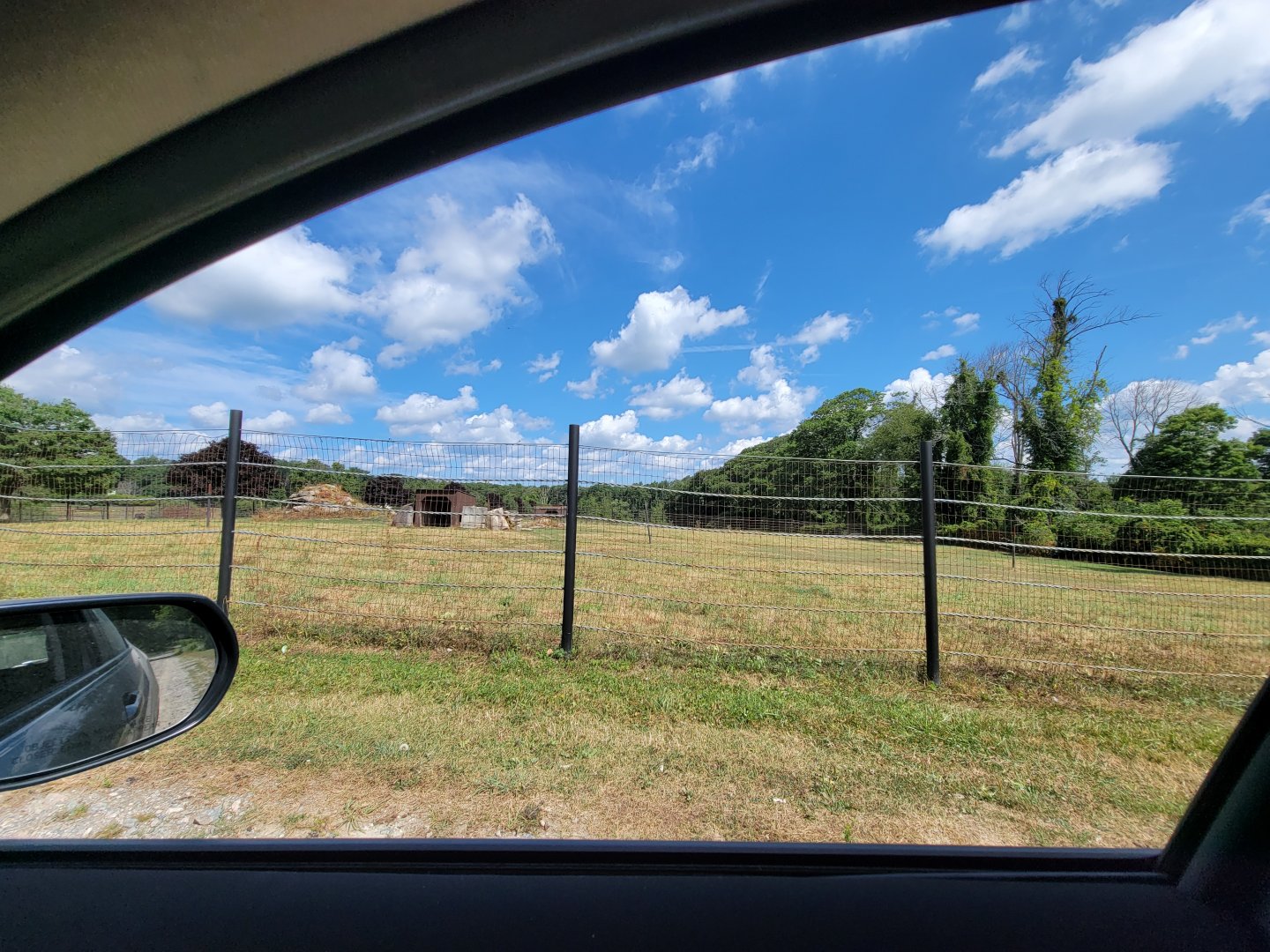 Action Wildlife - Row of empty yards