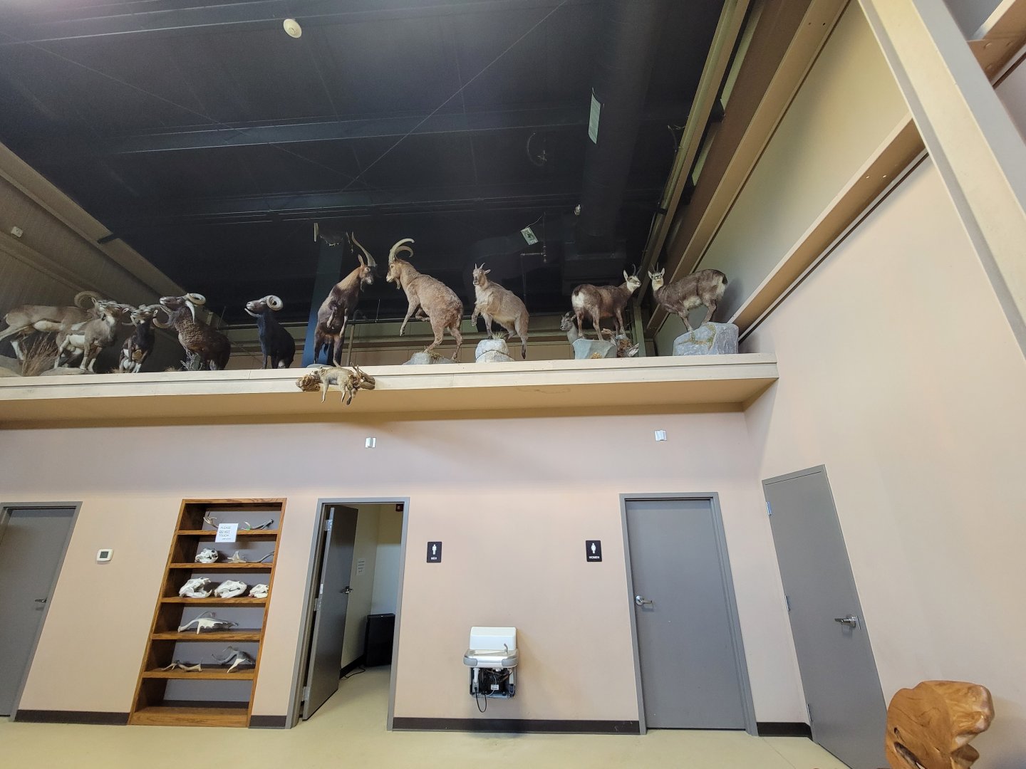 Action Wildlife - Side room, bathrooms