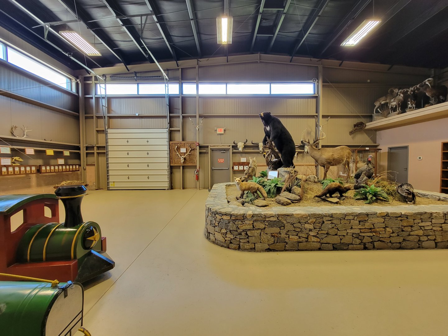 Action Wildlife - Side room