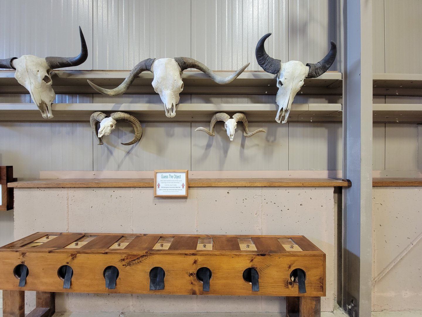 Action Wildlife - Side room