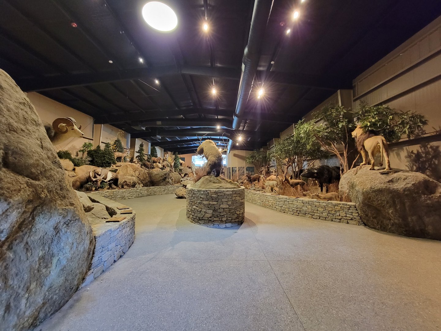 Action Wildlife - View of main hall from side room