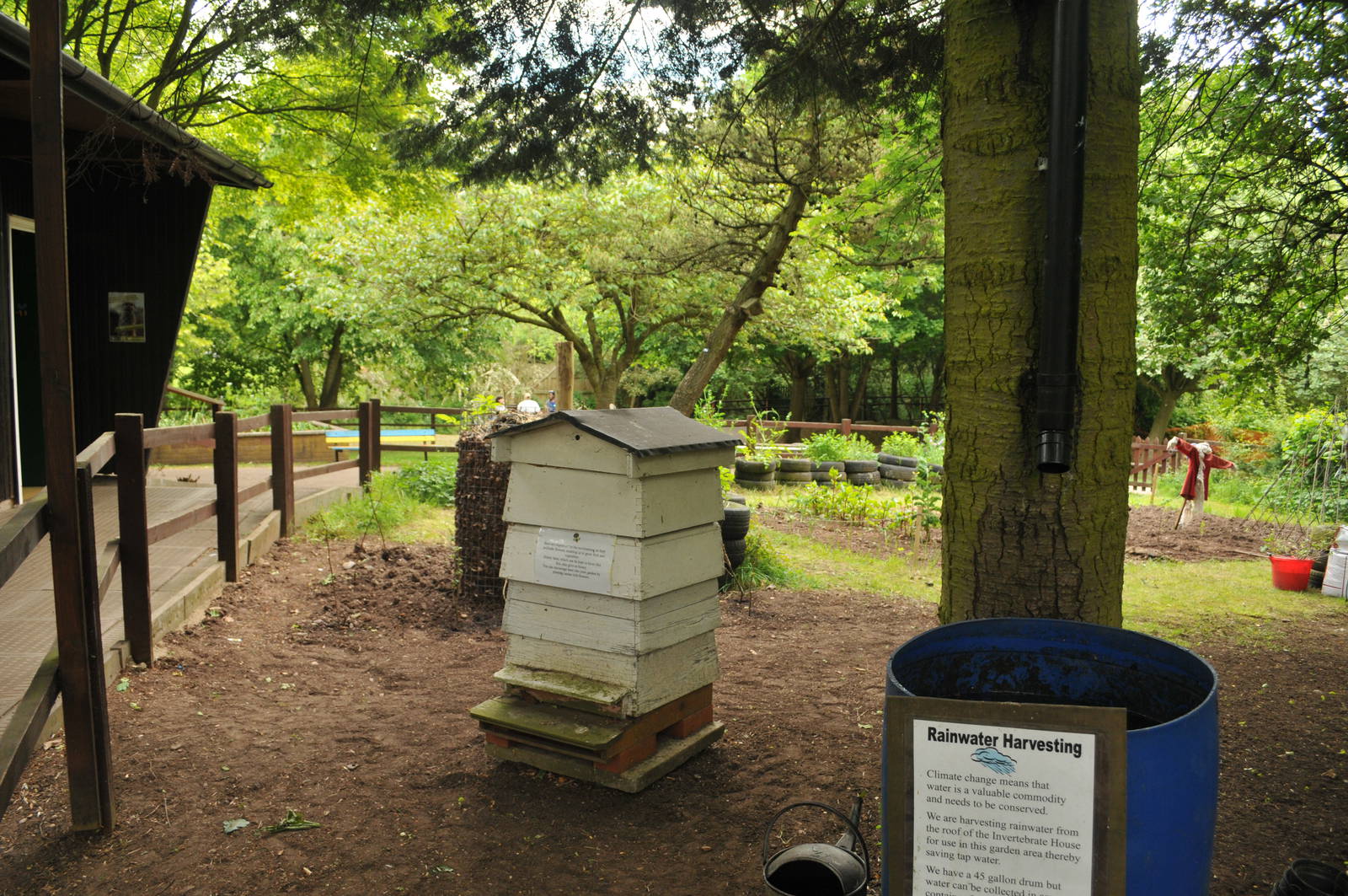 ACTIVE BEEHIVE