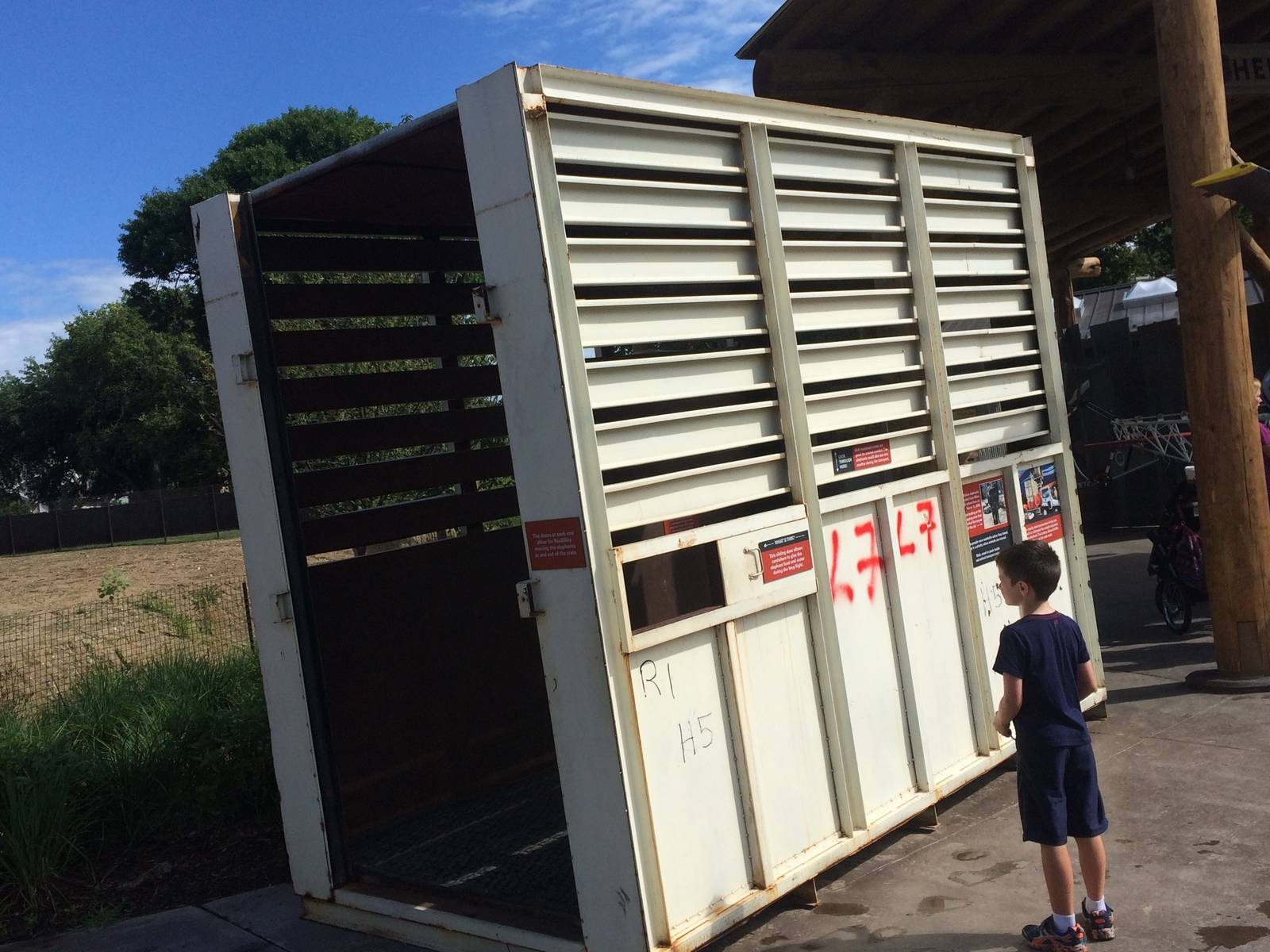 Actual Used Elephant Shipment Container