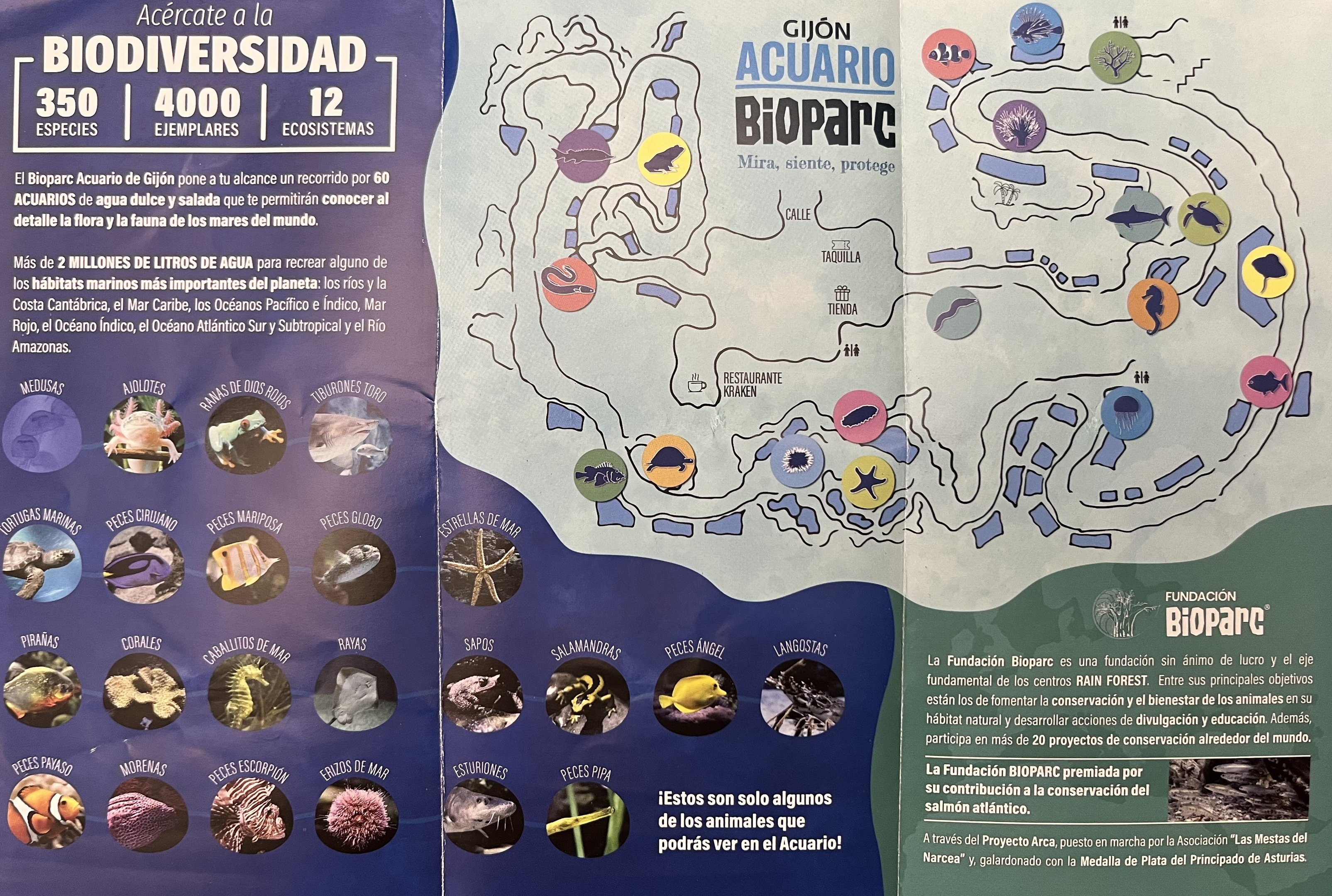 Acuario Bioparc Map - undated