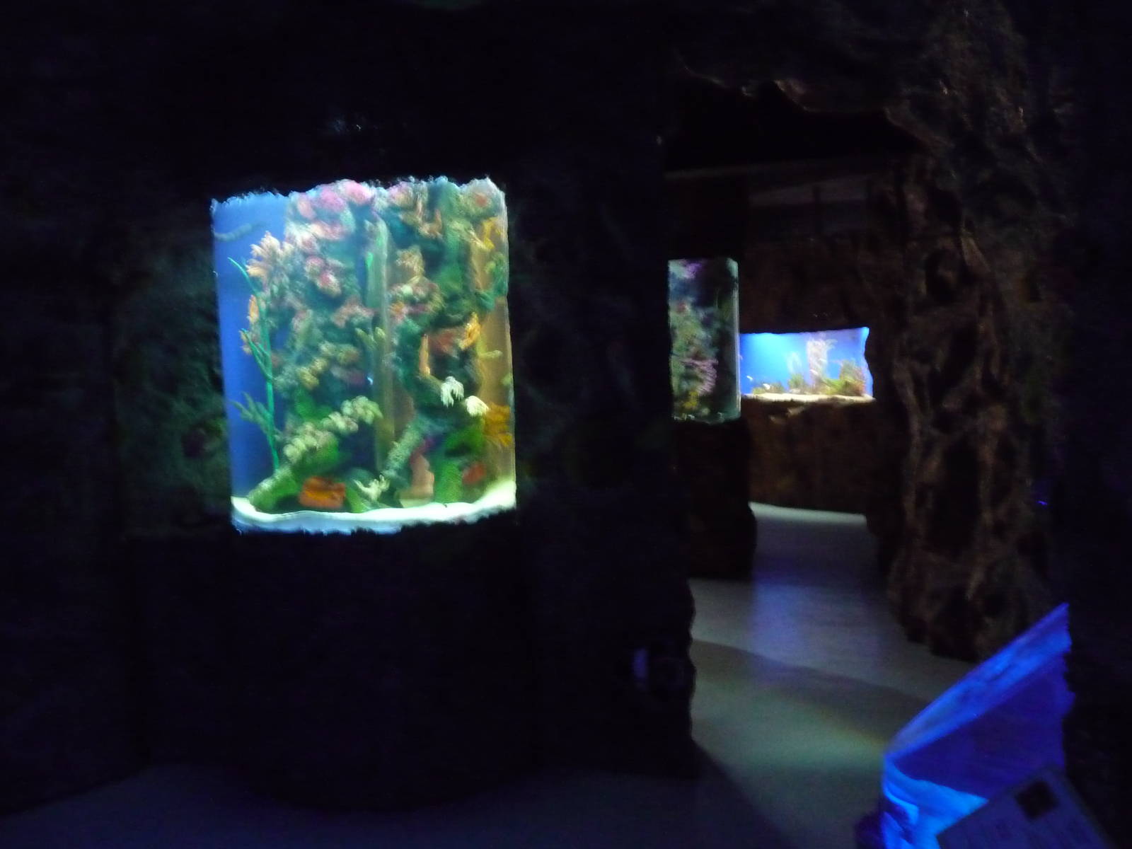 acuario centro cultural tijuana