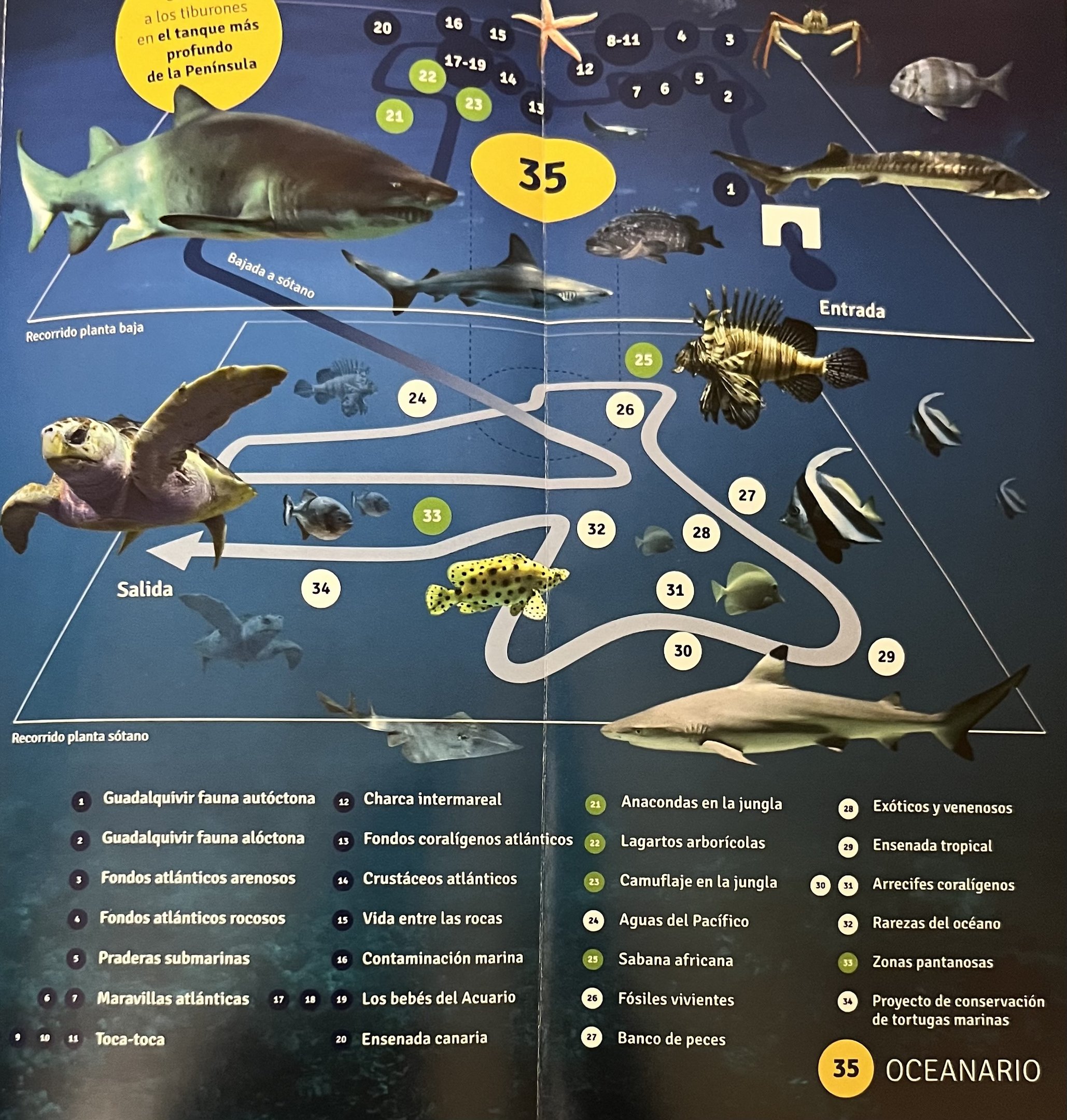 Acuario de Sevilla Map - undated