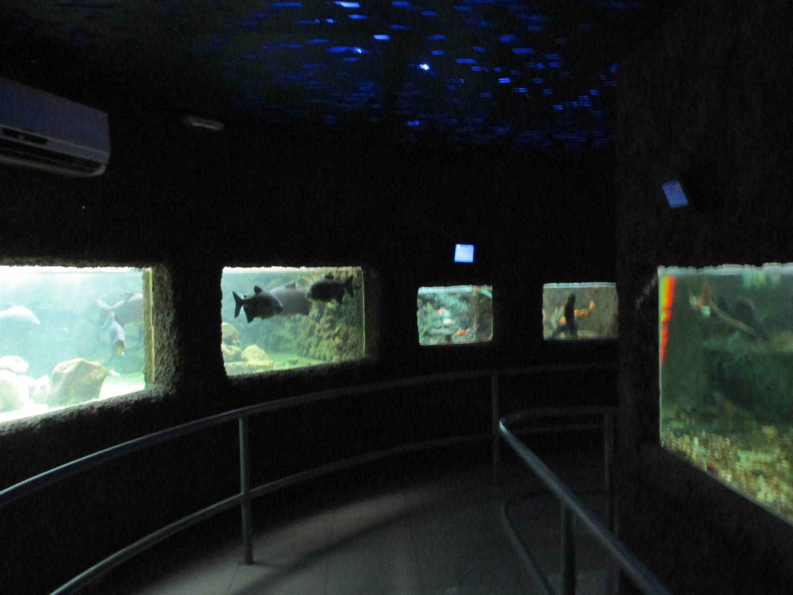 acuario mendoza