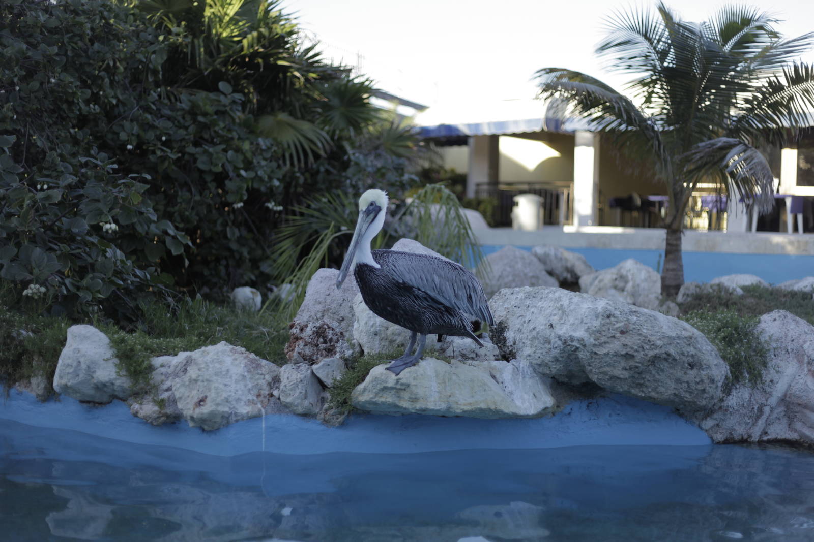 Acuario Nacional de Cuba