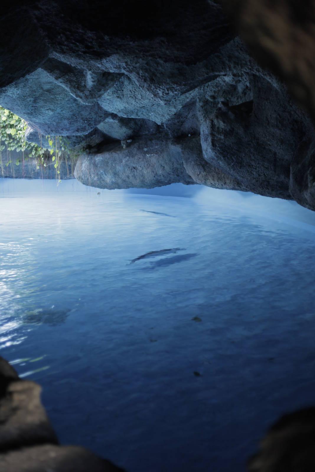 Acuario Nacional de Cuba