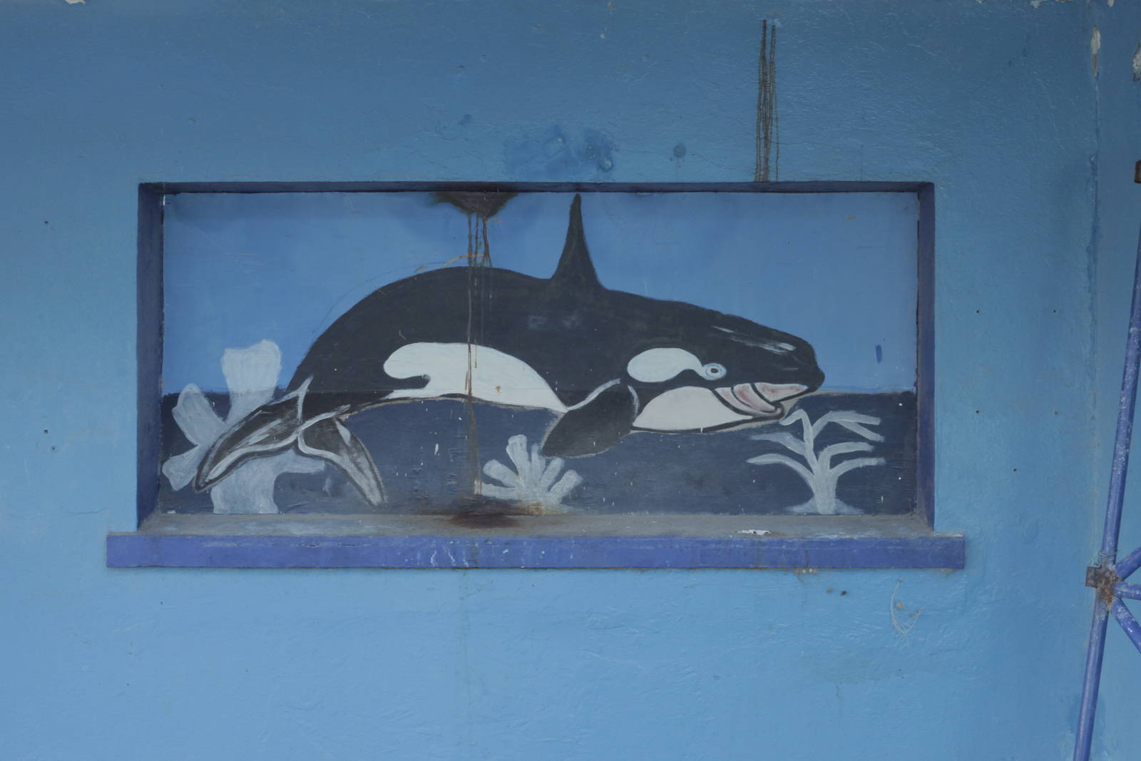 Acuario Nacional de Cuba