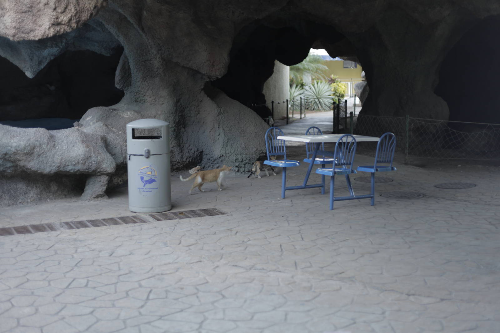 Acuario Nacional de Cuba