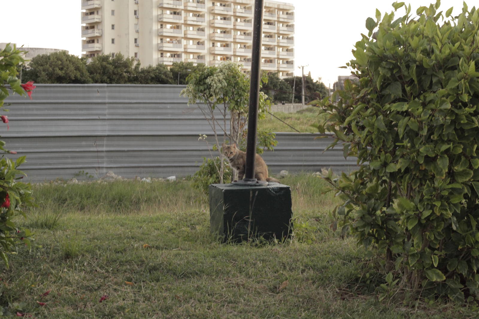 Acuario Nacional de Cuba