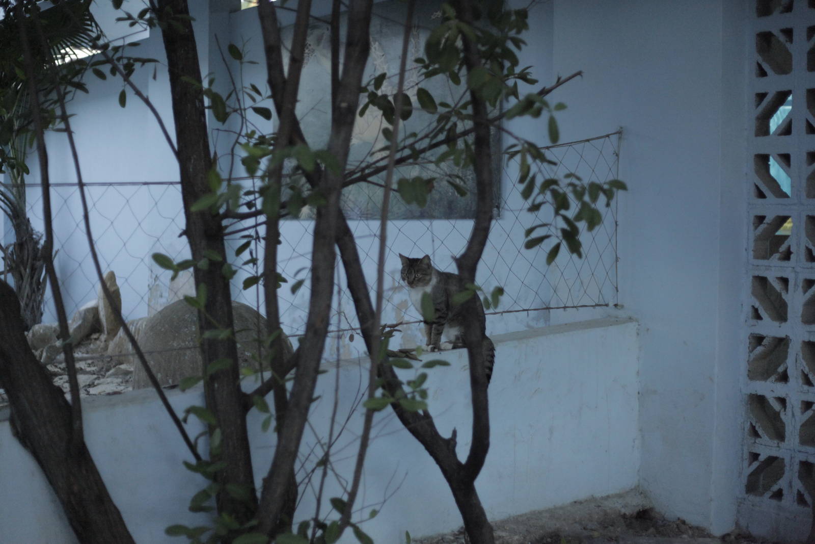 Acuario Nacional de Cuba