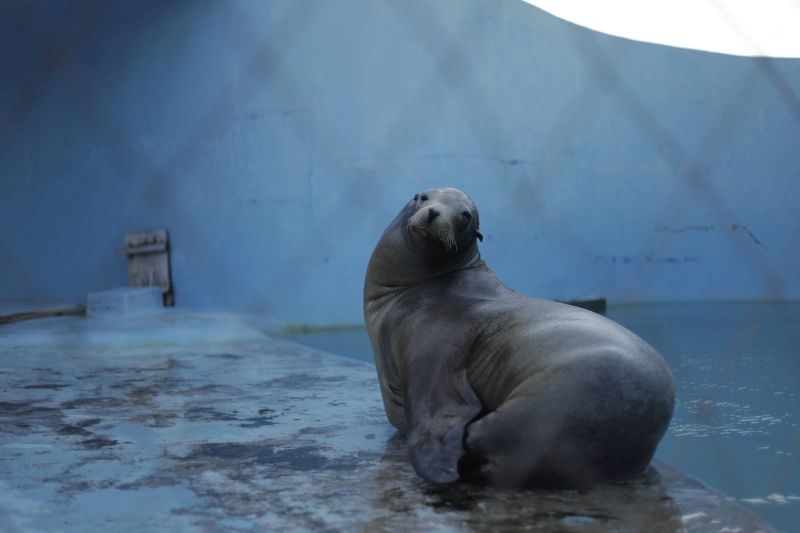 Acuario Nacional de Cuba
