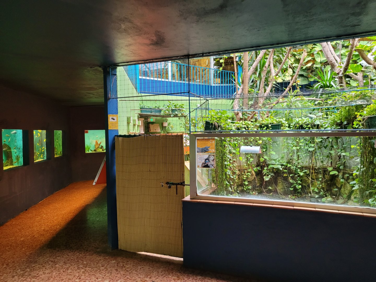 "AcuaTerrario" lower level -Zoo de Santillana del Mar (2023)