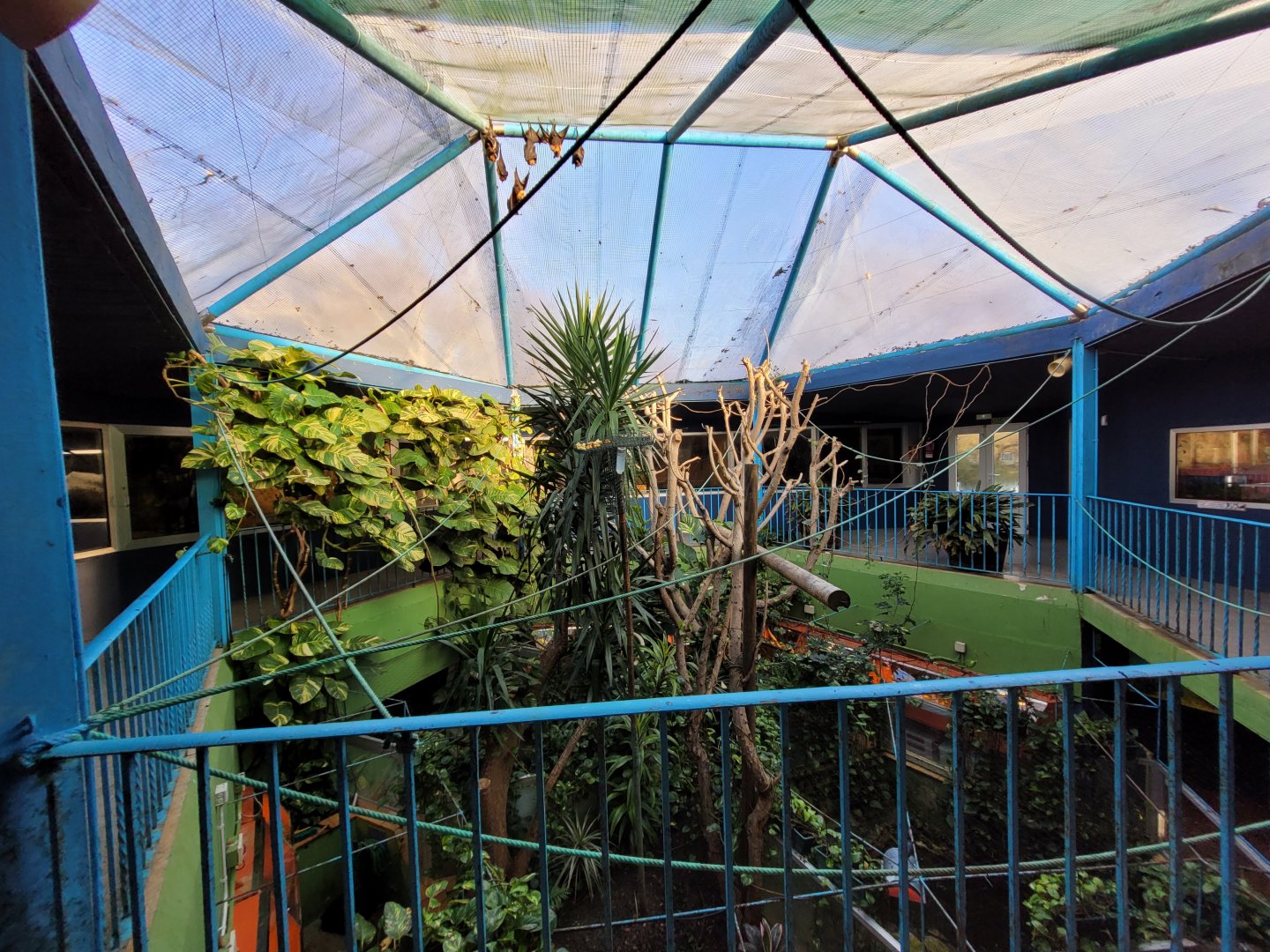 "AcuaTerrario" upper level -Zoo de Santillana del Mar (2023)