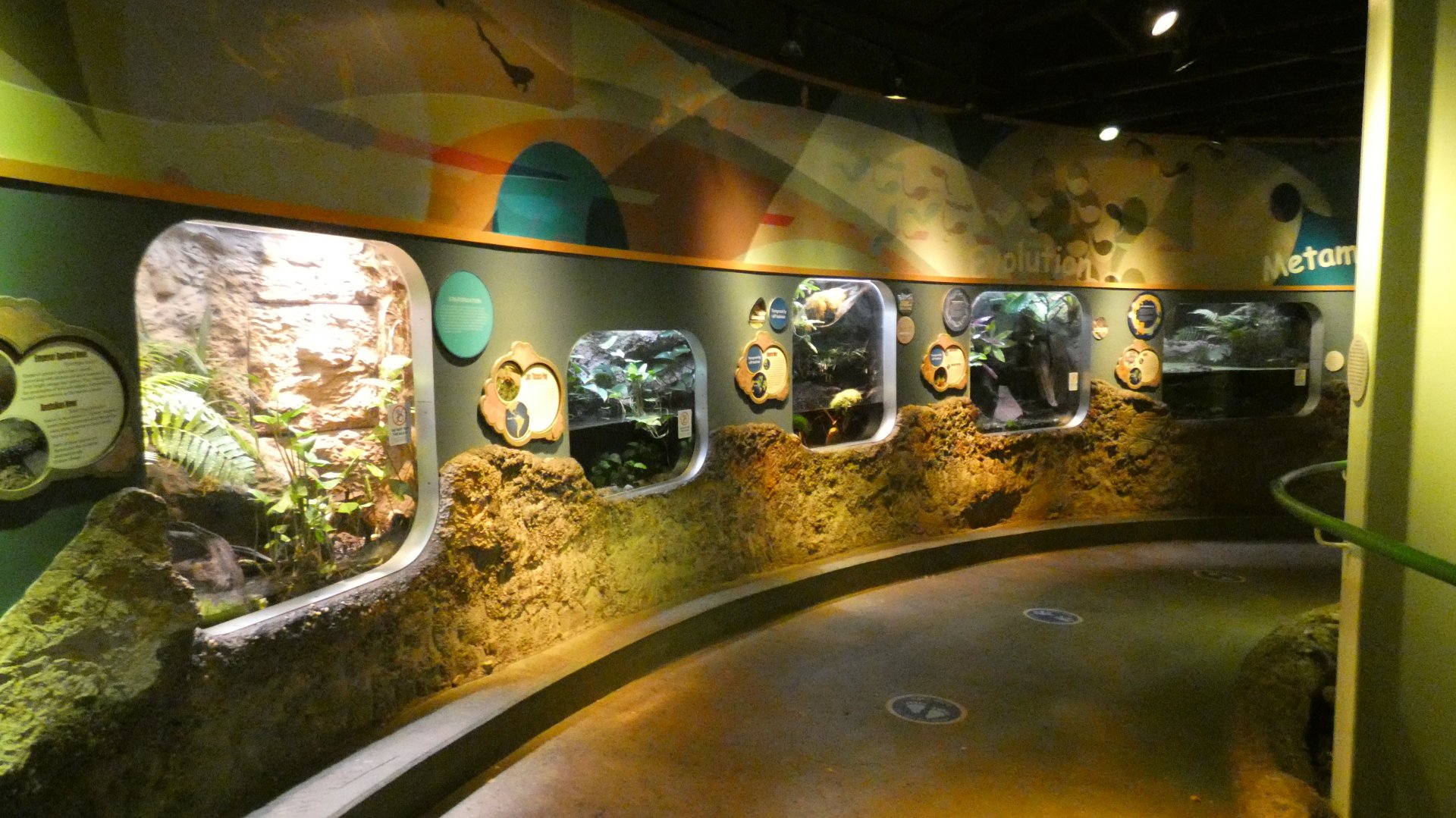 Adaptation/Evolution Hall, National Amphibian Conservation Center - July 2022