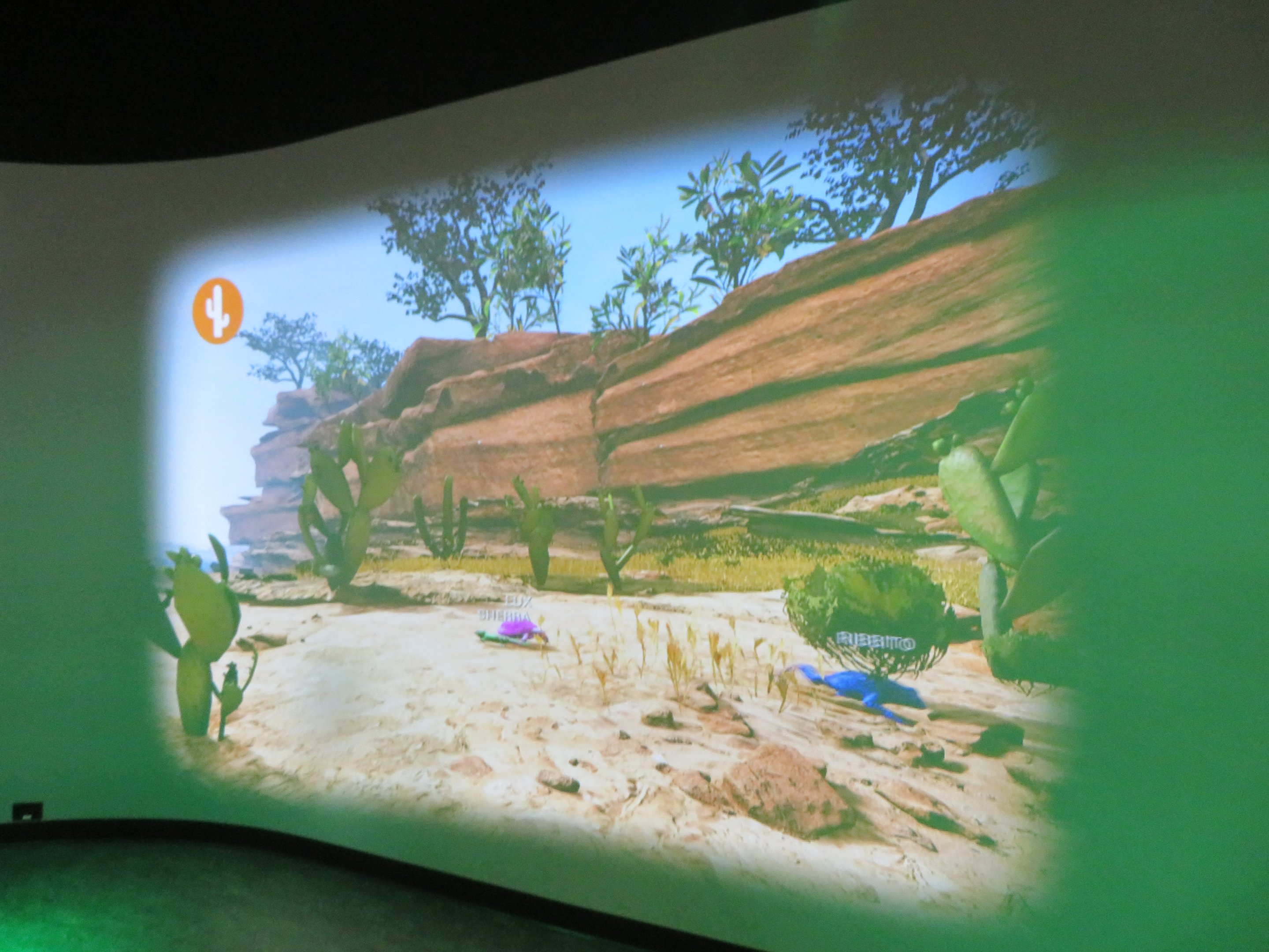 Adaptation Game Projected Display