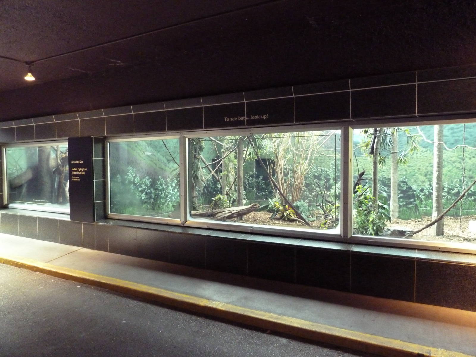 Adaptations Building Exhibits