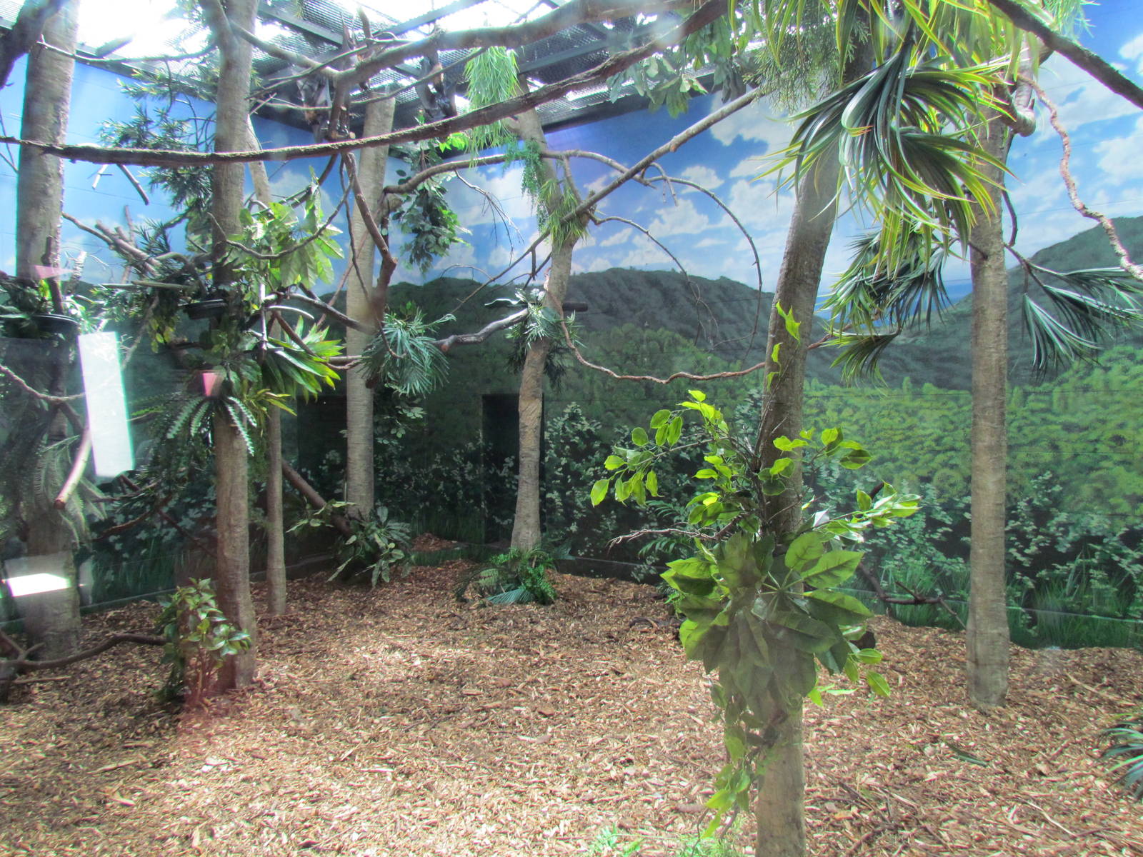 Adaptations Building - Indian Flying Fox Exhibit
