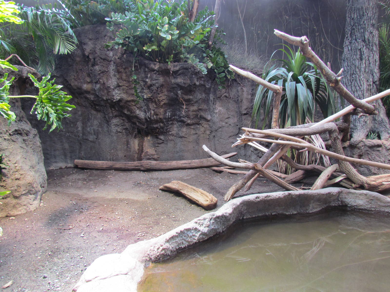 Adaptations Building - Komodo Dragon Exhibit