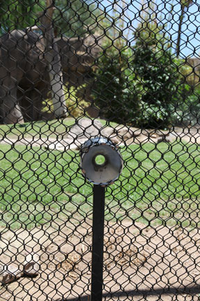 adaptor for tiger pull