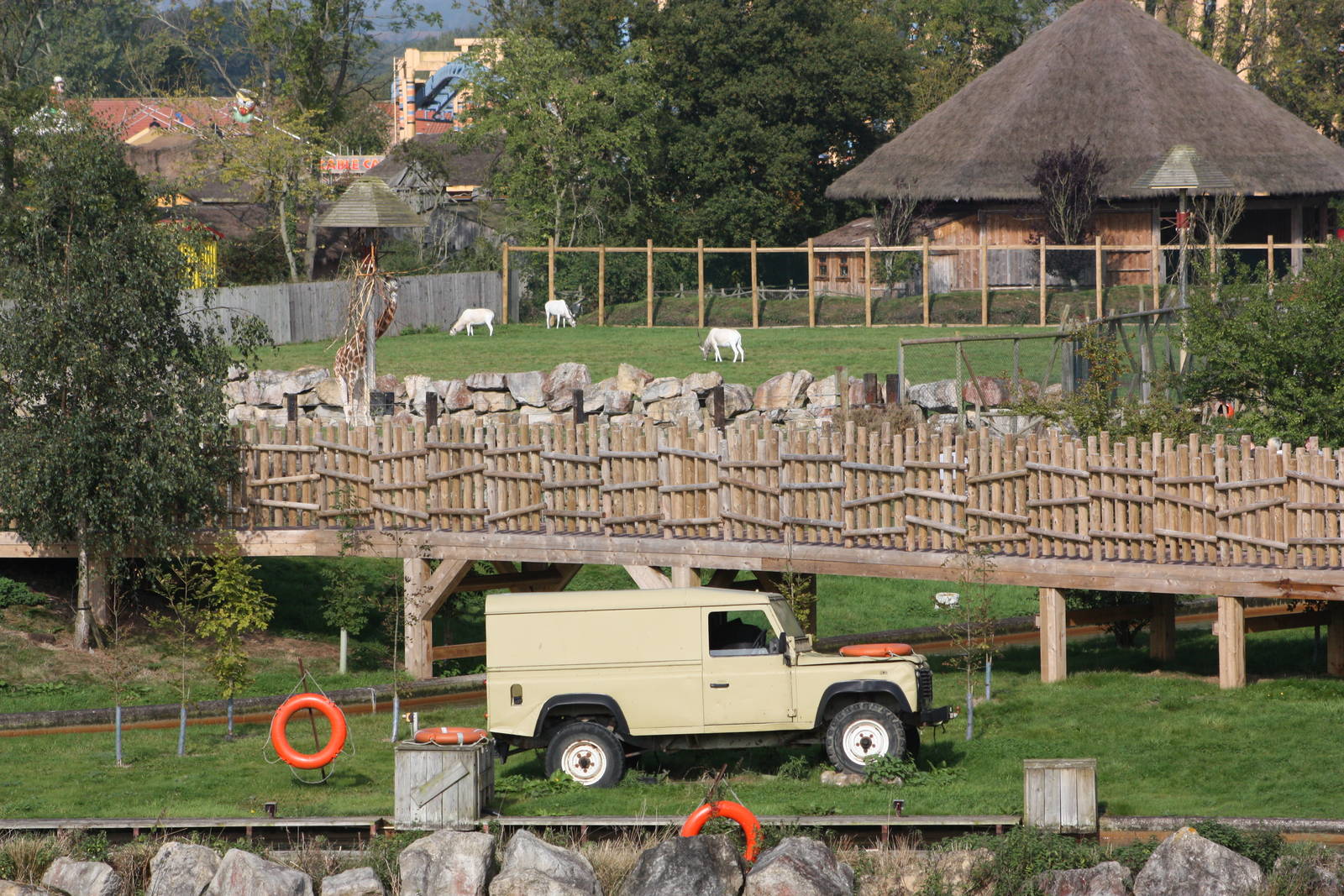 Addax ahoy, 30th September 2014