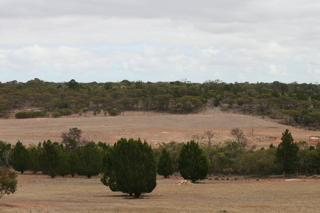 Addax and Barbary Sheep enclosure