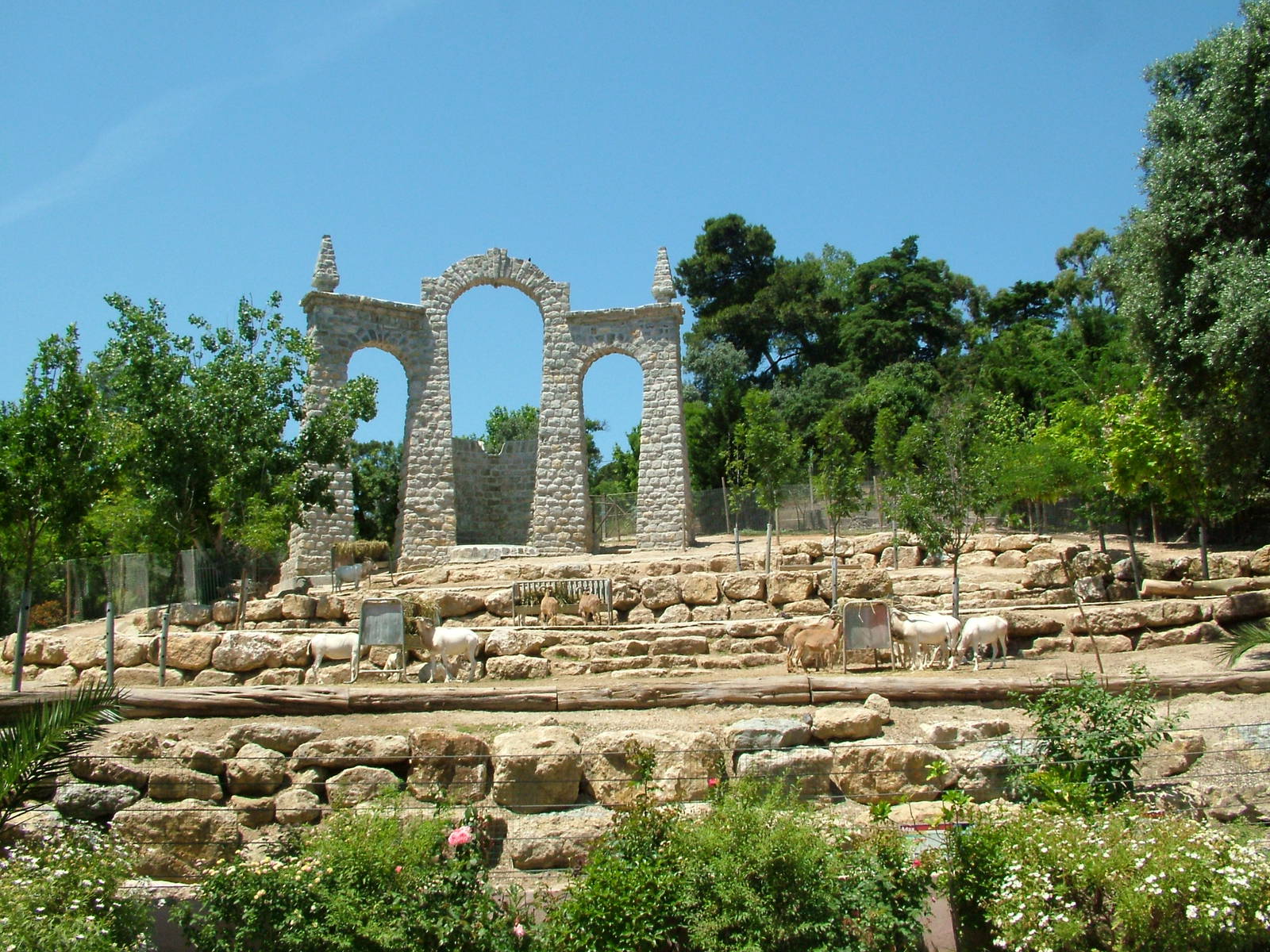 Addax and Barbary Sheep Exhibit at Lisbon Zoo, 24/05/11