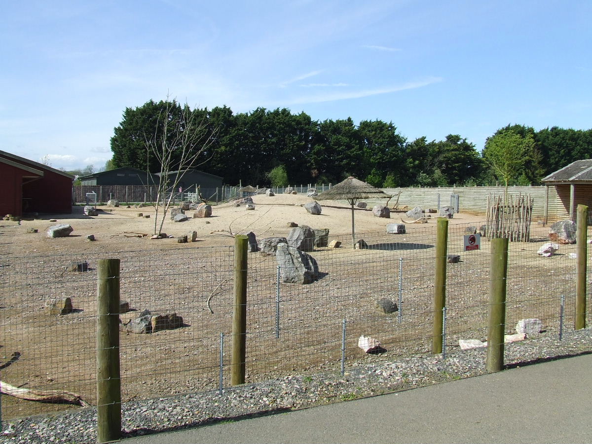 Addax and Dorcas Gazelle mixed exhibit, African Aridlands