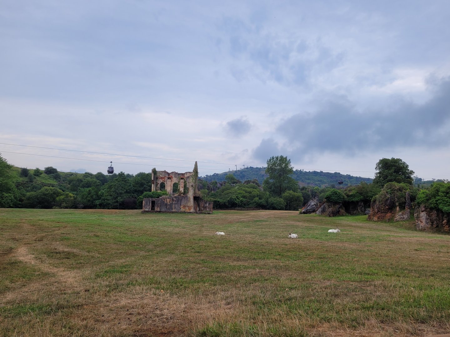 Addax and Dromedary exhibit -Parque de la Naturaleza de Cabárceno (2022)