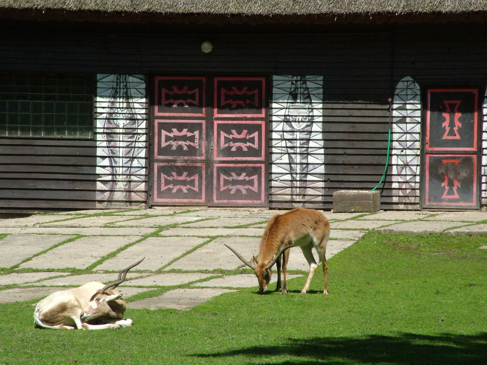 Addax and Lechwe at Zlin, 28/05/10