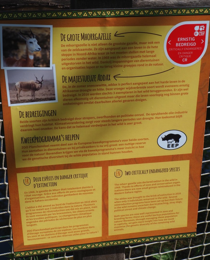 Addax and Mhorr gazelle breeding programs signage, 2020-06-12
